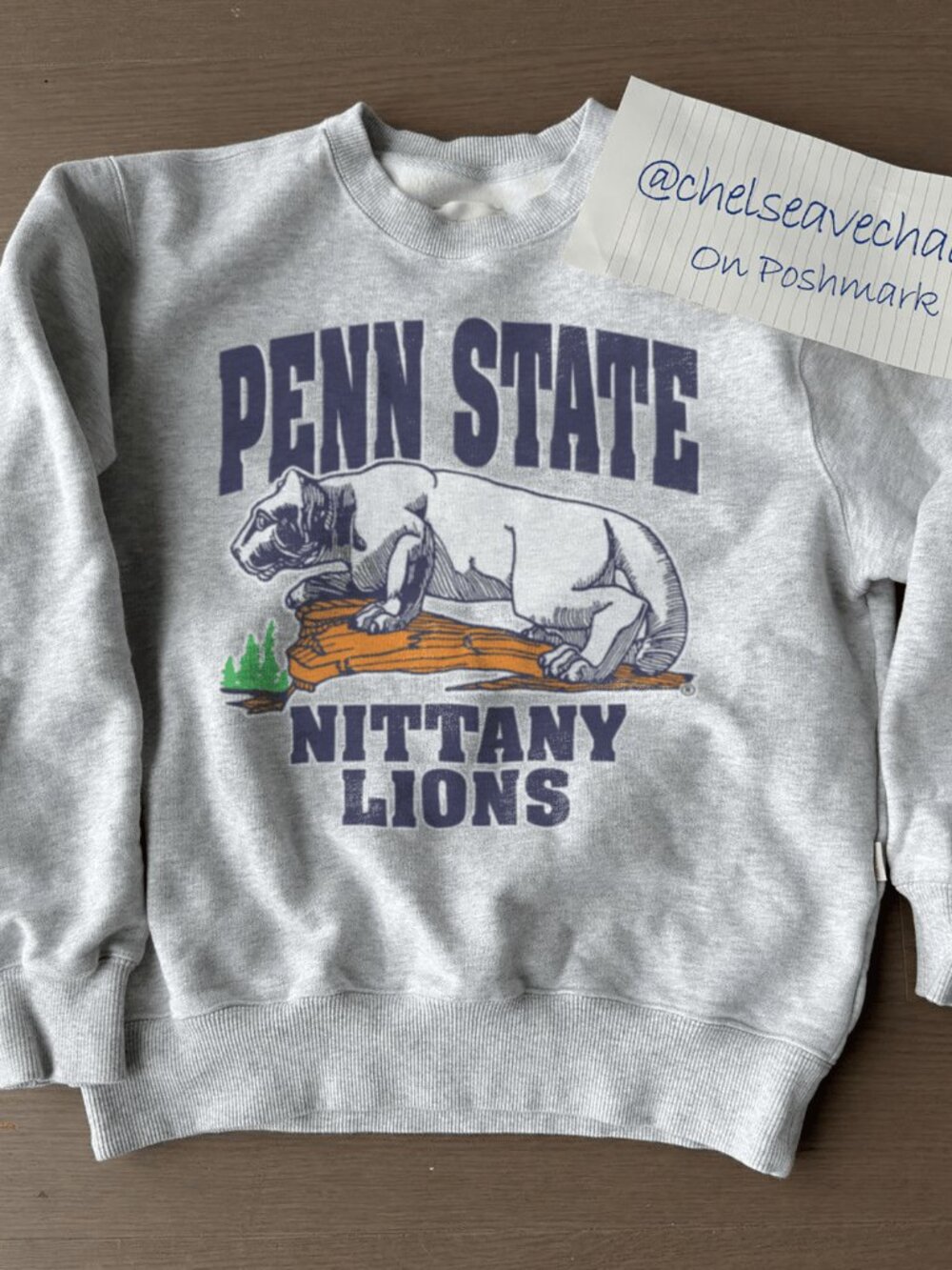 Vintage Penn State Nittany Lions Football Sweatshirt Penn State University Shirt